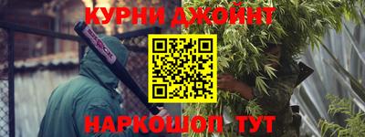 СК Гатчина