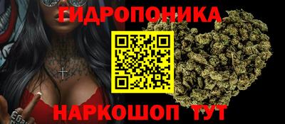 гидра Гай