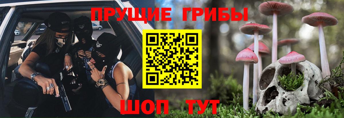Галлюциногенные грибы Cubensis  закладка  Нижневартовск  Вход с VPN 